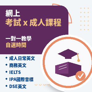 一對一網上課程 (成人及考試課程)